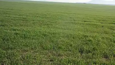 Commercial Plot for sale, Thessaloniki, Vasilika, Thessaloniki