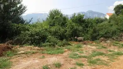 Комерційна земельна ділянка на продаж, Thasos Regional Unit, Боровец, Регіональна одиниця Тасос