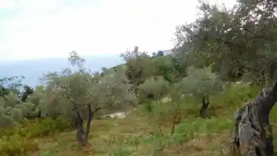 Commercial Plot for sale, Magnisia, Mouresi, Magnisia