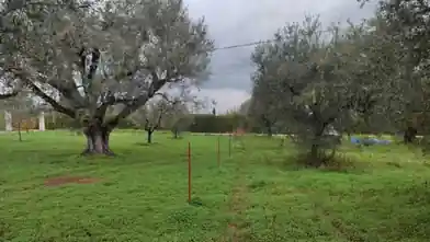 Комерційна земельна ділянка на продаж, Achaia, Дімі, Ахайя