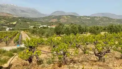 Commercial Plot for sale, Iraklio, Archanes, Iraklio