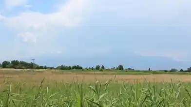 Działka komercyjna na sprzedaż, Pieria, Paralia, Pieria