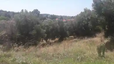 Коммерческий земельный участок на продажу, Halkidiki, Никити, Халкидики