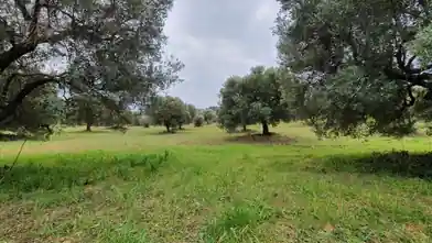 Działka komercyjna na sprzedaż, Halkidiki, Półwysep Chalcydycki, Halkidiki