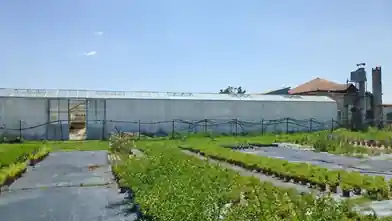Commercial for sale, Pieria, Paralia, Pieria