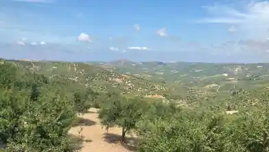 Commercial Plot for sale, Iraklio, Archanes, Iraklio