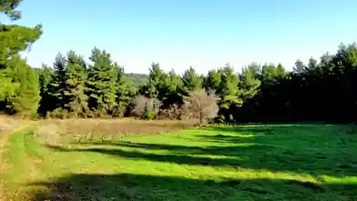 Commercial Plot for sale, Evia, Elimnii, Evia