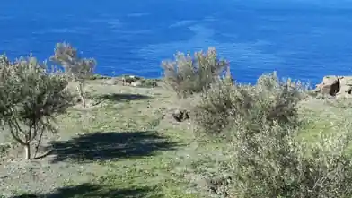 Commercial Plot for sale, Andros, Korthi, Andros