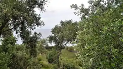 Działka komercyjna na sprzedaż, Kerkira, Esperii, Kerkira