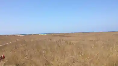 Commercial Plot for sale, Elis, Lechaina, Ilia