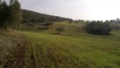Commercial Plot for sale, Chalkidiki, Ormilia, Chalkidiki