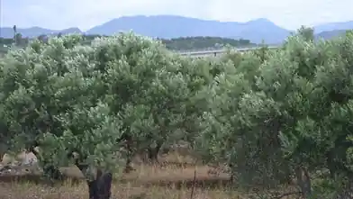Działka komercyjna na sprzedaż, Lasithi, Agios Nikolaos