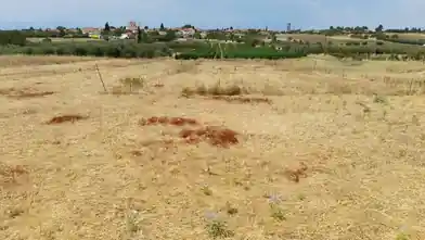 Commercial Plot for sale, Halkidiki, Kallikrateia, Halkidiki
