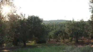 Commercial Plot for sale, Chalkidiki, Ormilia, Chalkidiki