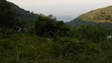 Commercial Plot for sale, Magnisia, Makrirrachi, Magnisia