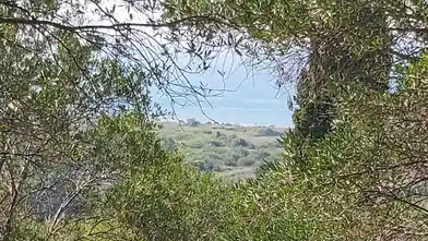 Commercial Plot for sale, Corfu, Agios Ioannis