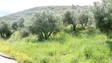 Commercial Plot for sale, Lasithi, Sitia, Lasithi