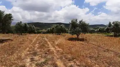 Commercial Plot for sale, Iraklio, Arkalochori, Iraklio
