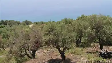 Działka komercyjna na sprzedaż, Jednostka regionalna Leukada, Kalamos, Lefkada