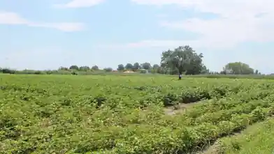 Commercial Plot for sale, Pieria, Paralia, Pieria