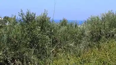 Działka komercyjna na sprzedaż, Rethimno, Arkadi, Rethimno