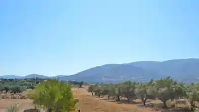Commercial Plot for sale, Anatoli Attiki, Markopoulo Mesogeas