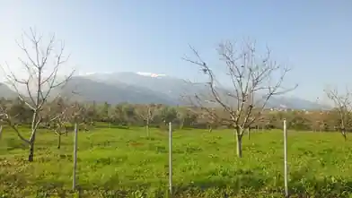 Commercial Plot for sale, Pieria, East Olympos, Pieria