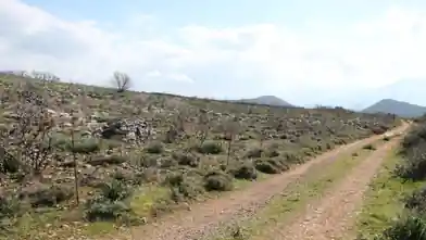 Commercial Plot for sale, Lasithi, Dories, Lasithi