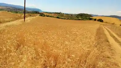Commercial Plot for sale, Halkidiki, Stagira-Akanthos, Halkidiki