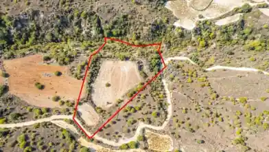 Agriculture Plot for rent, Limassol, Dora