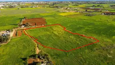 Agriculture Plot for rent, Famagusta, Avgorou