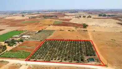 Agriculture Plot for rent, Famagusta, Avgorou