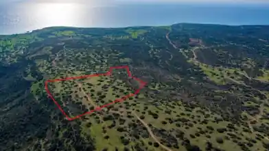 Commercial Plot for rent, Limassol, Pissouri