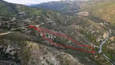 Agriculture Plot for rent, Limassol, Kato Amiantos