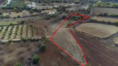 Residential Plot for rent, Paphos, Lasa
