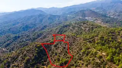 Agriculture Plot for rent, Limassol, Arakapas