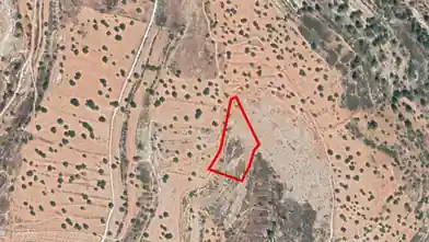 Agriculture Plot for rent, Limassol, Prastio