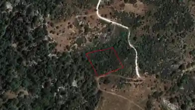 Γεωργικό οικόπεδο προς ενοικίαση, Λεμεσός, Ανώγυρα