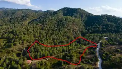 Agriculture Plot for rent, Larnaca, Kalo Chorio