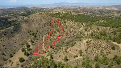 Agriculture Plot for rent, Nicosia, Xyliatos