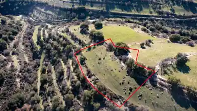 Agriculture Plot for rent, Limassol, Dora