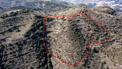 Agriculture Plot for rent, Limassol, Dora