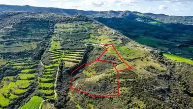 Agriculture Plot for rent, Limassol, Dora