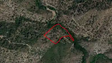 Agriculture Plot for rent, Limassol, Sykopetra