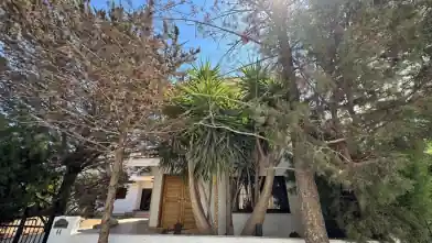 5+ bedrooms Detached House for rent, Limassol