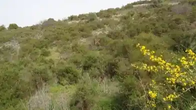 Residential Plot for sale, Limassol, Dora