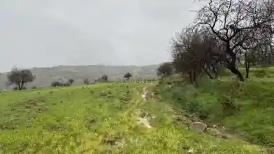 Residential Plot for sale, Paphos, Kelokedara