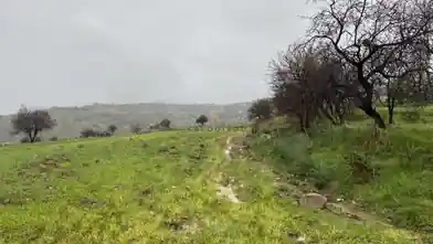 Residential Plot for sale, Paphos, Kelokedara