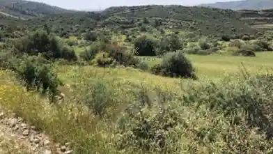 Residential Plot for sale, Larnaca, Parsata