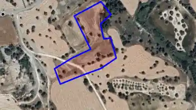 Agriculture Plot for sale, Larnaca, Anglisides